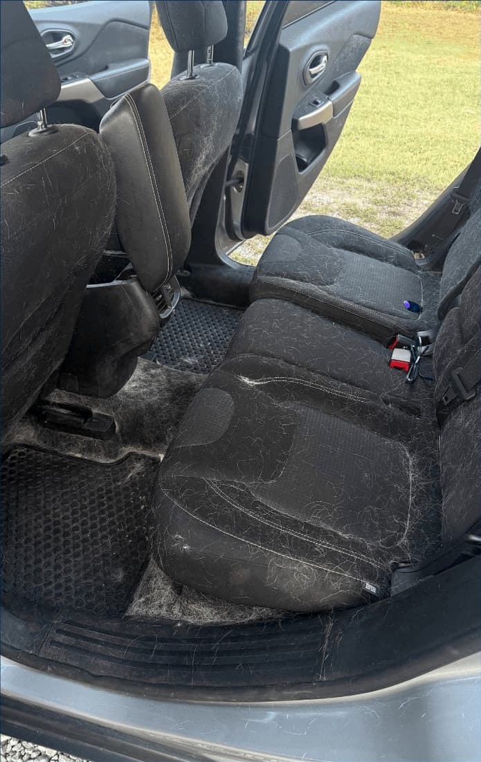 Rear bench seat and floor covered in embedded pet hair before the detail